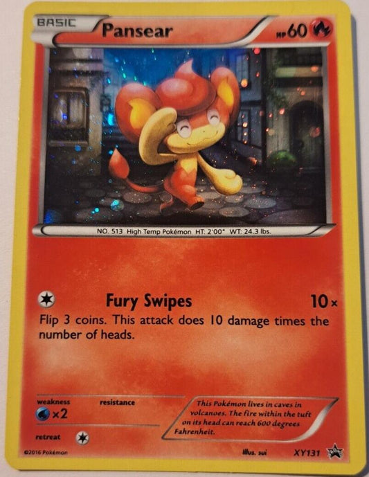 Pansear - XY131 - Holo - Pokemon Black Star Promos
