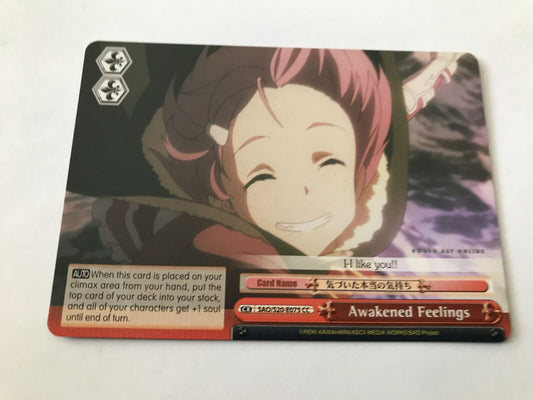 Awakened Feelings SAO/S20-E075 CC Sword Art Online