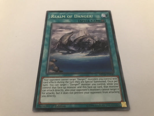 Realm Of Danger! - MP19-EN140 - Rare - 1st Edition - YuGiOh