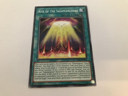 Rise Of The Salamangreat - SOFU-EN052 - Common - Unlimited Edition - YuGiOh