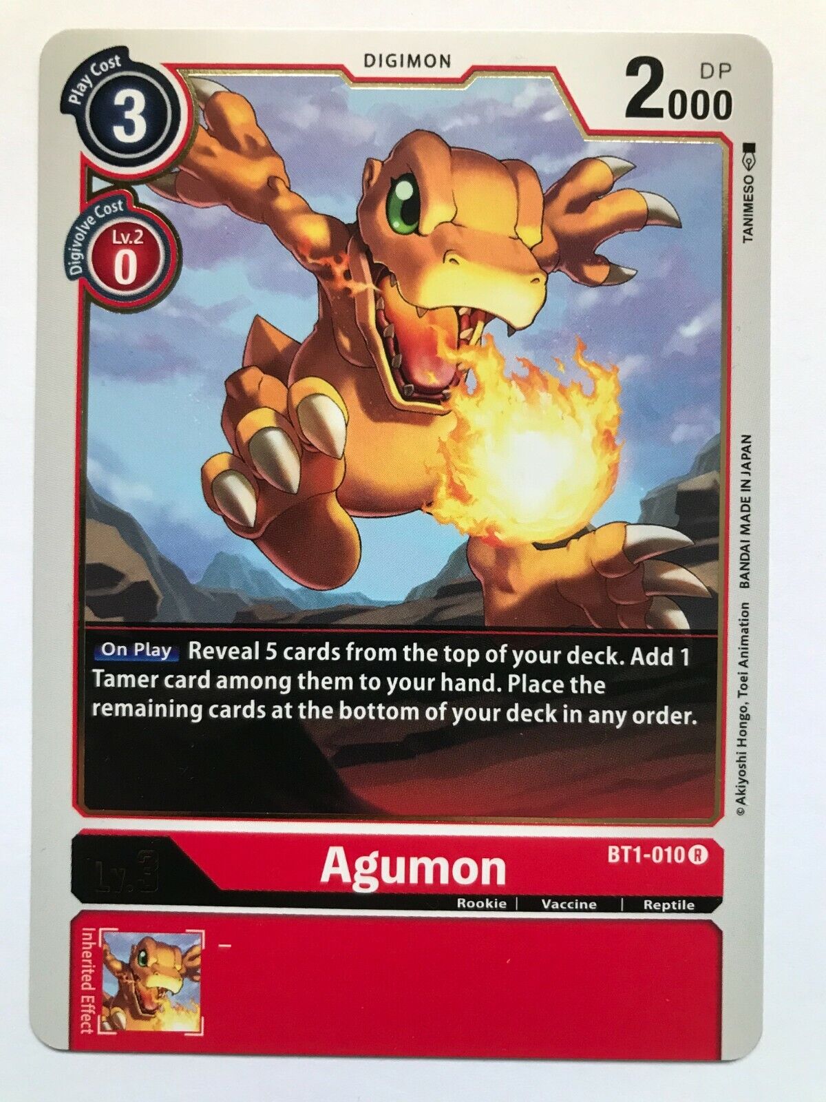 Digimon Card Game - BT1 - Choose Your Cards!