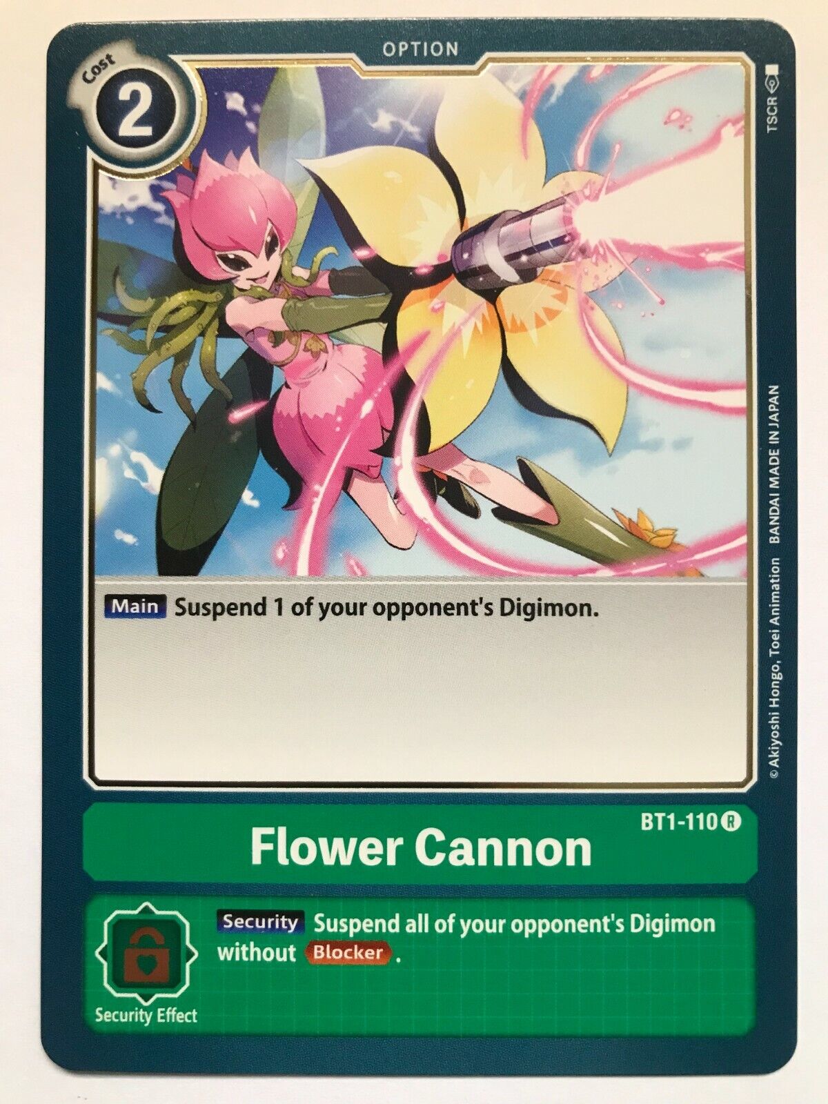 Digimon Card Game - BT1 - Choose Your Cards!