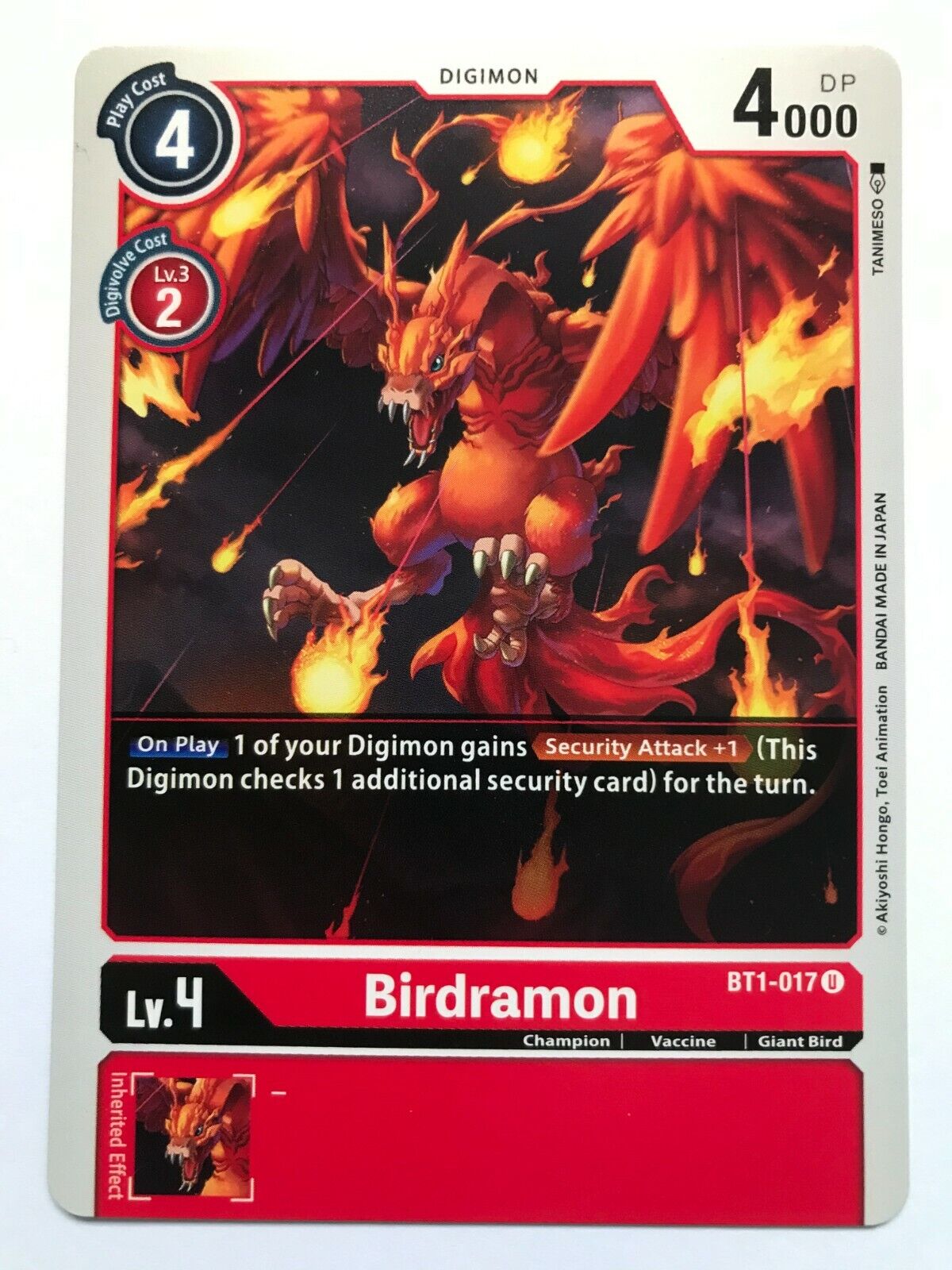 Digimon Card Game - BT1 - Choose Your Cards!