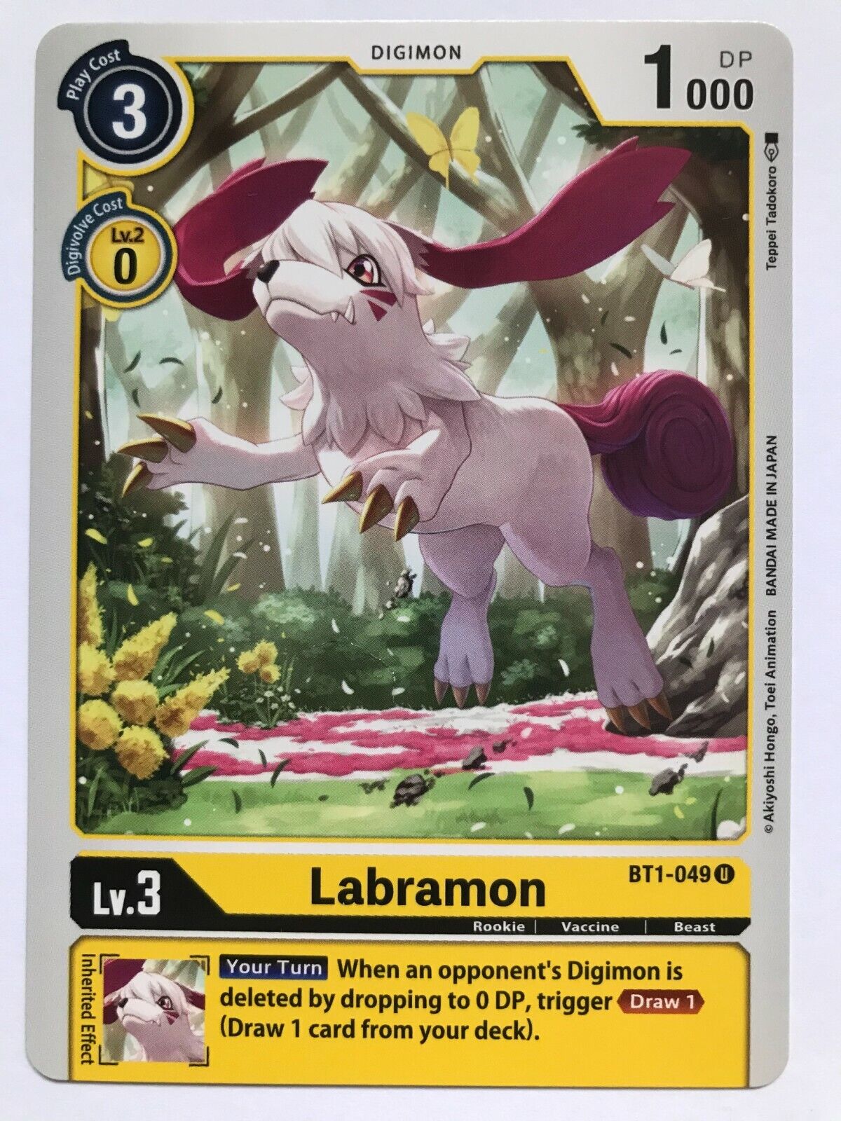 Digimon Card Game - BT1 - Choose Your Cards!