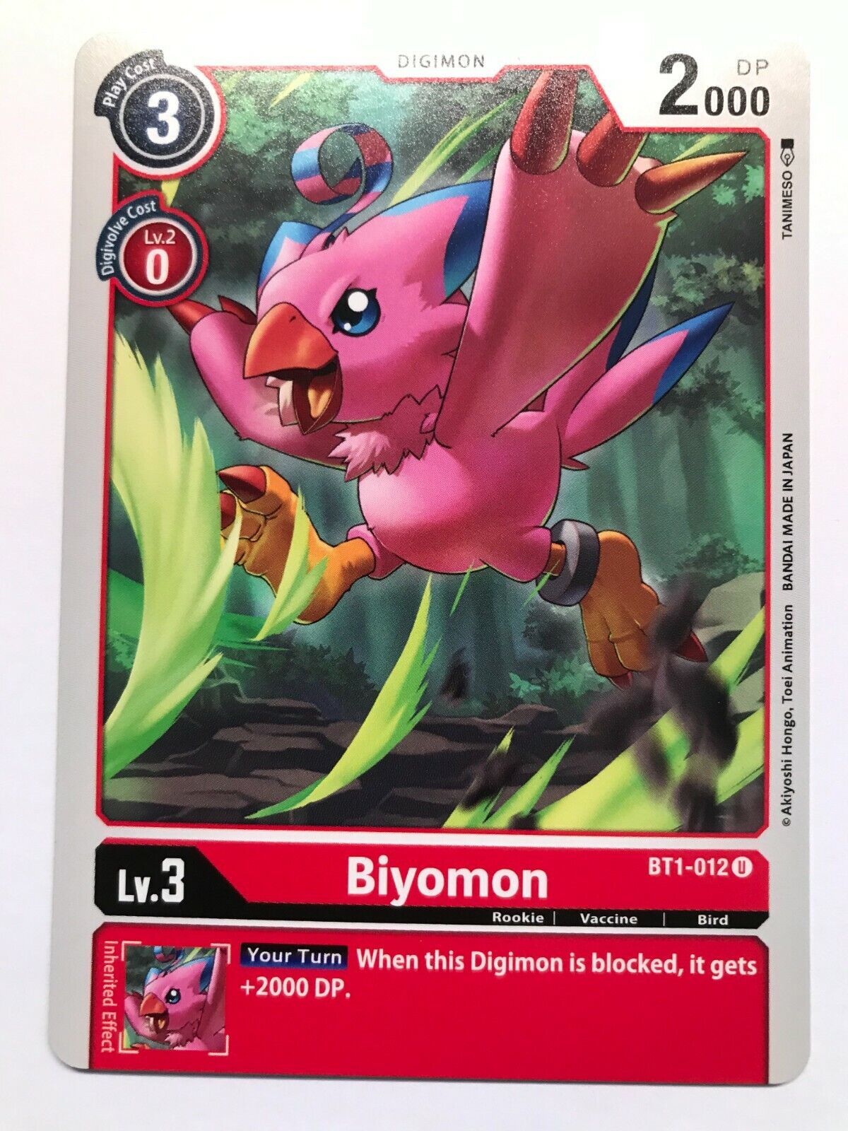 Digimon Card Game - BT1 - Choose Your Cards!