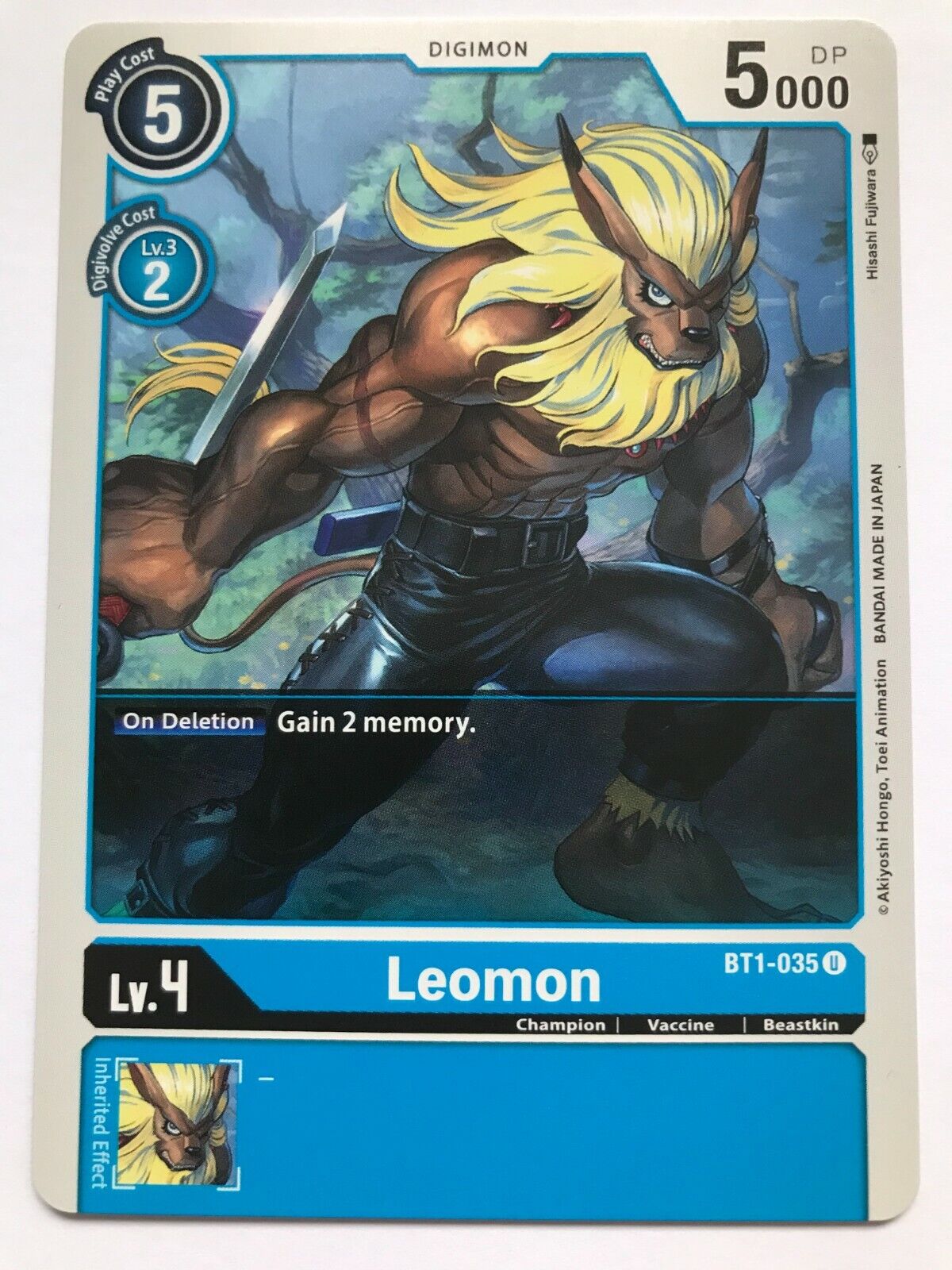 Digimon Card Game - BT1 - Choose Your Cards!