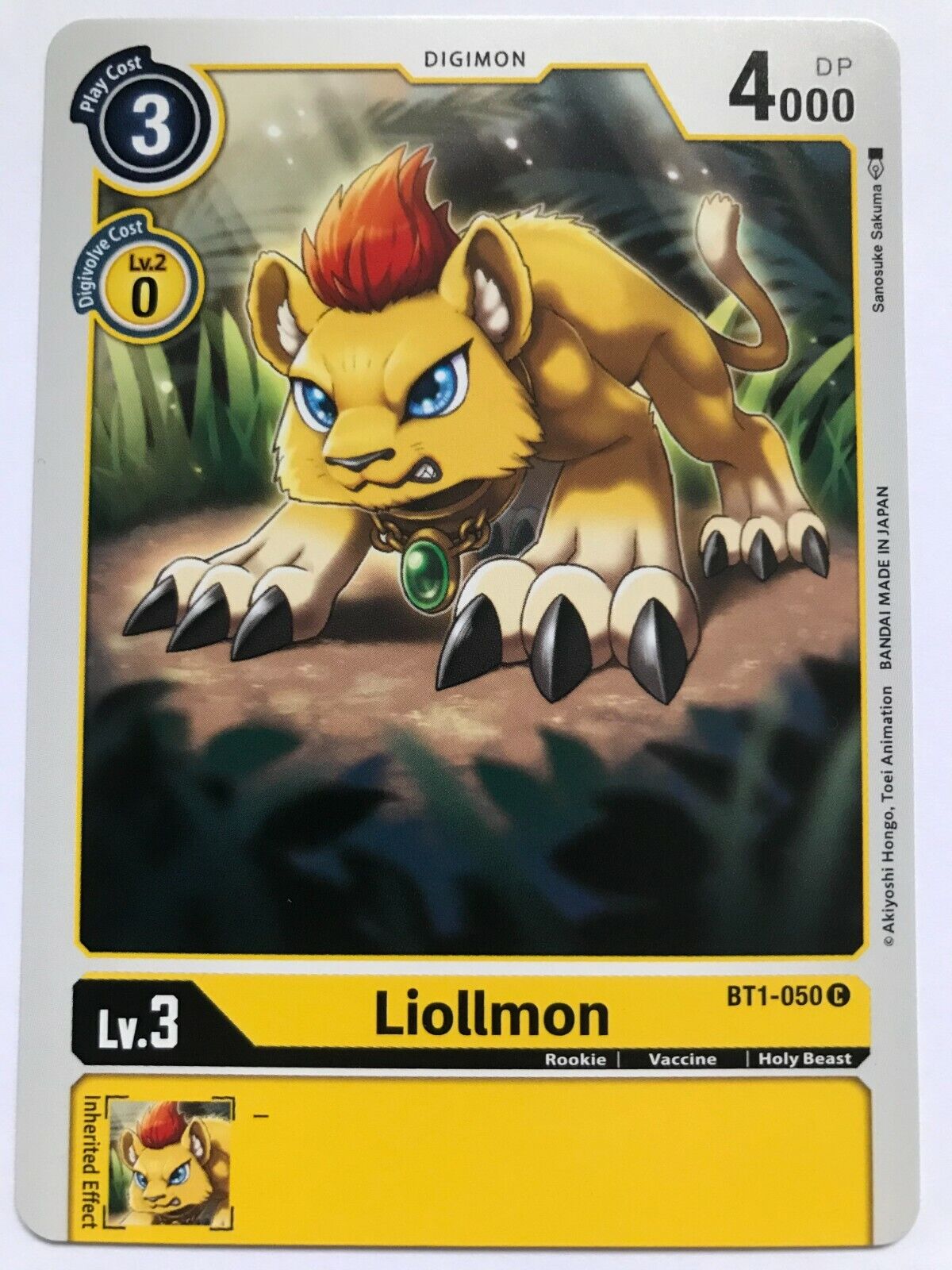 Digimon Card Game - BT1 - Choose Your Cards!