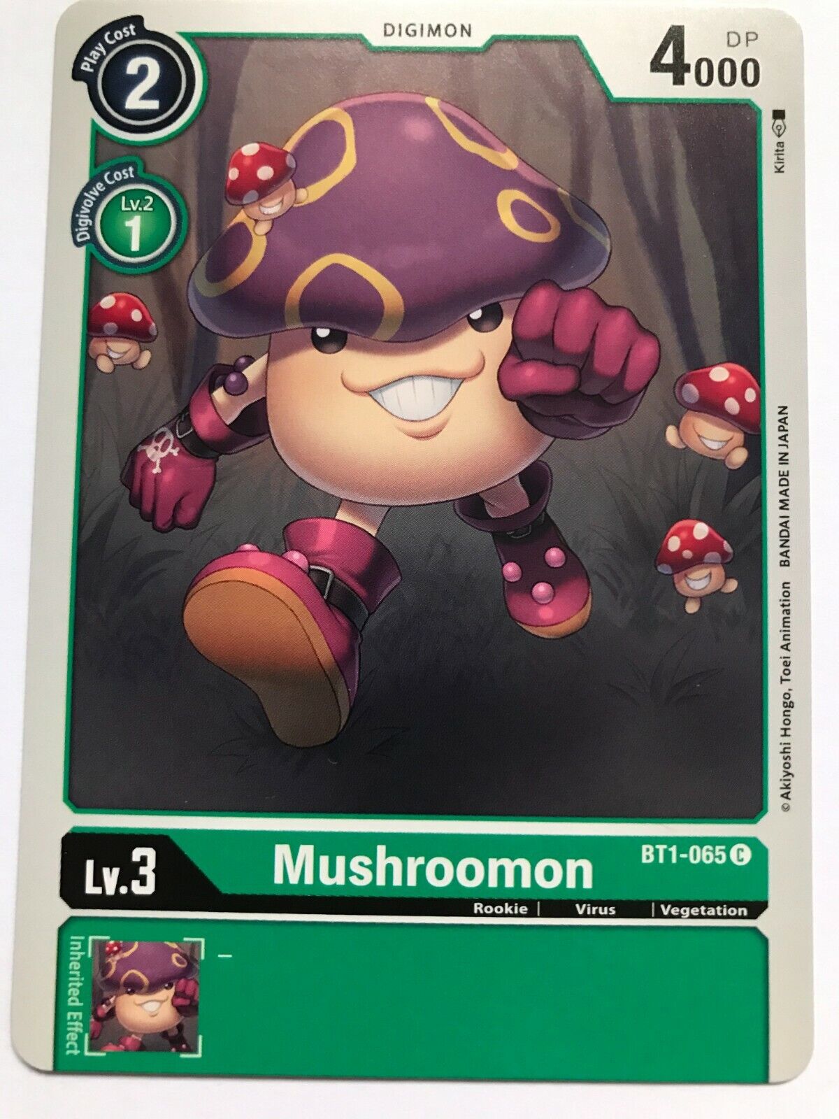 Digimon Card Game - BT1 - Choose Your Cards!