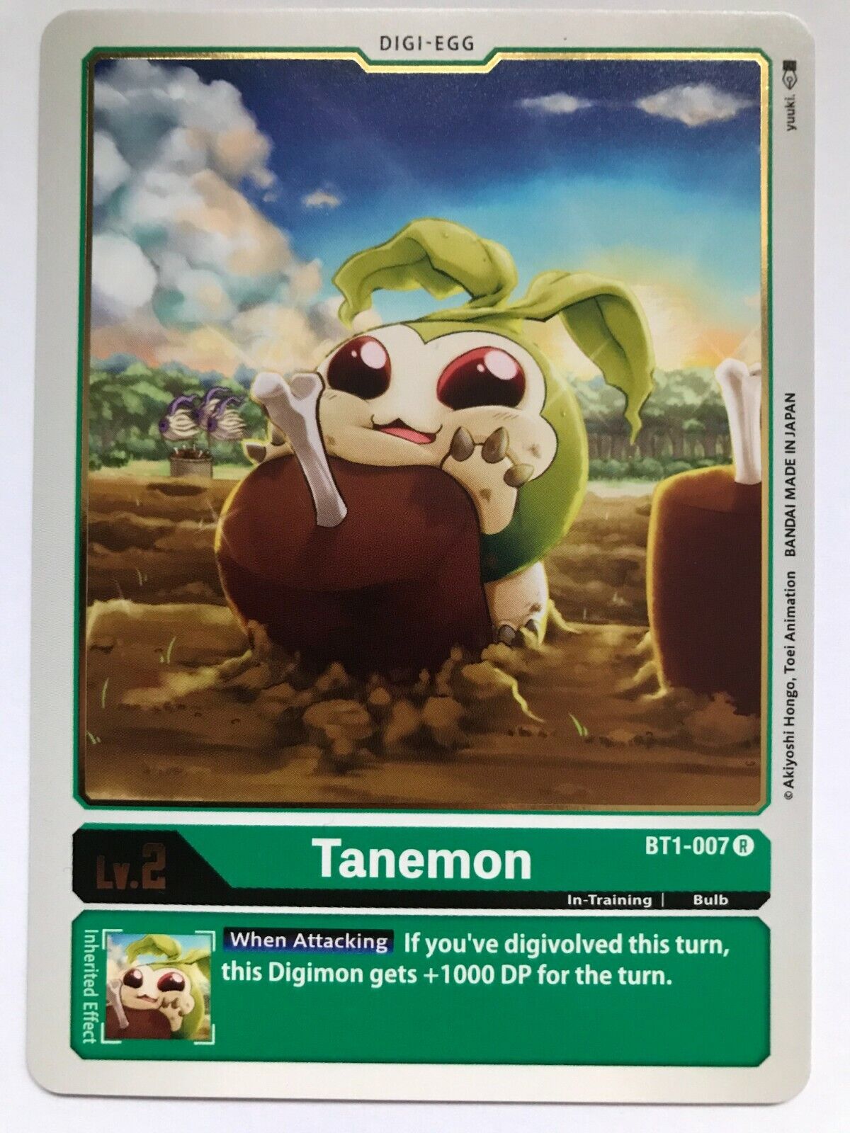 Digimon Card Game - BT1 - Choose Your Cards!