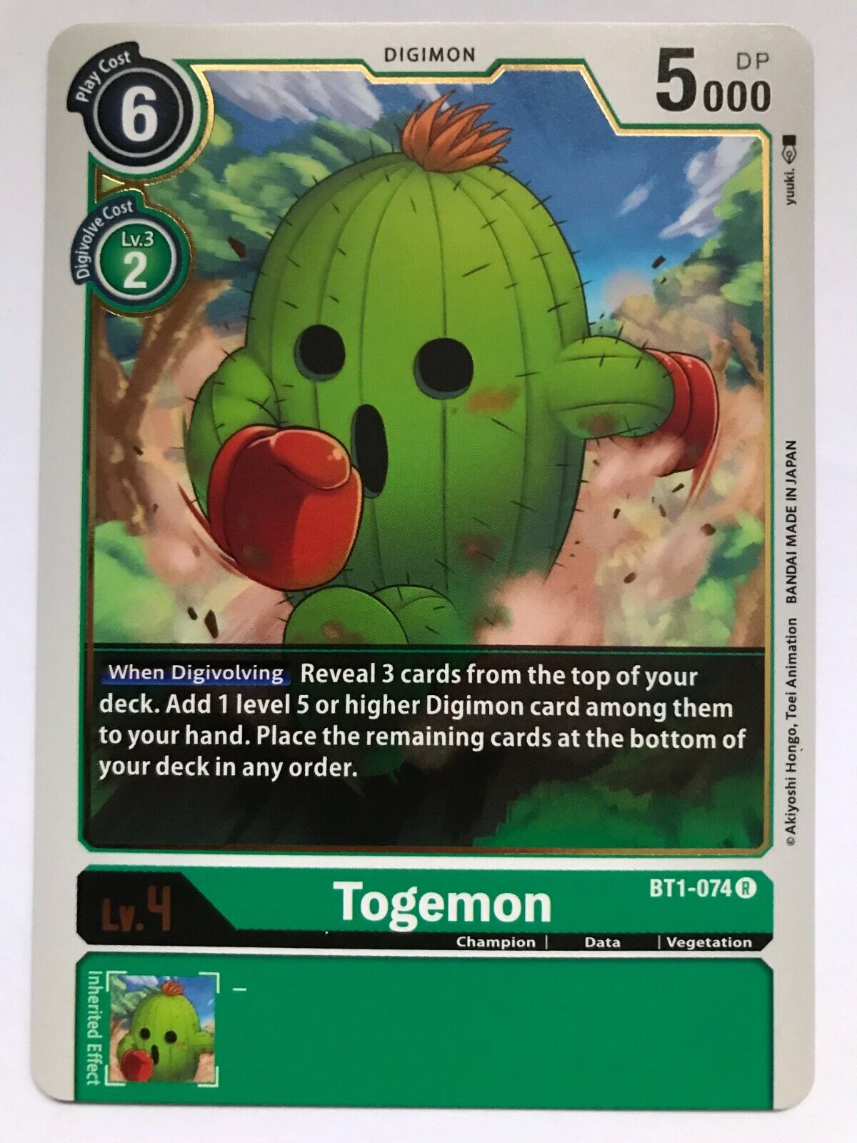 Digimon Card Game - BT1 - Choose Your Cards!