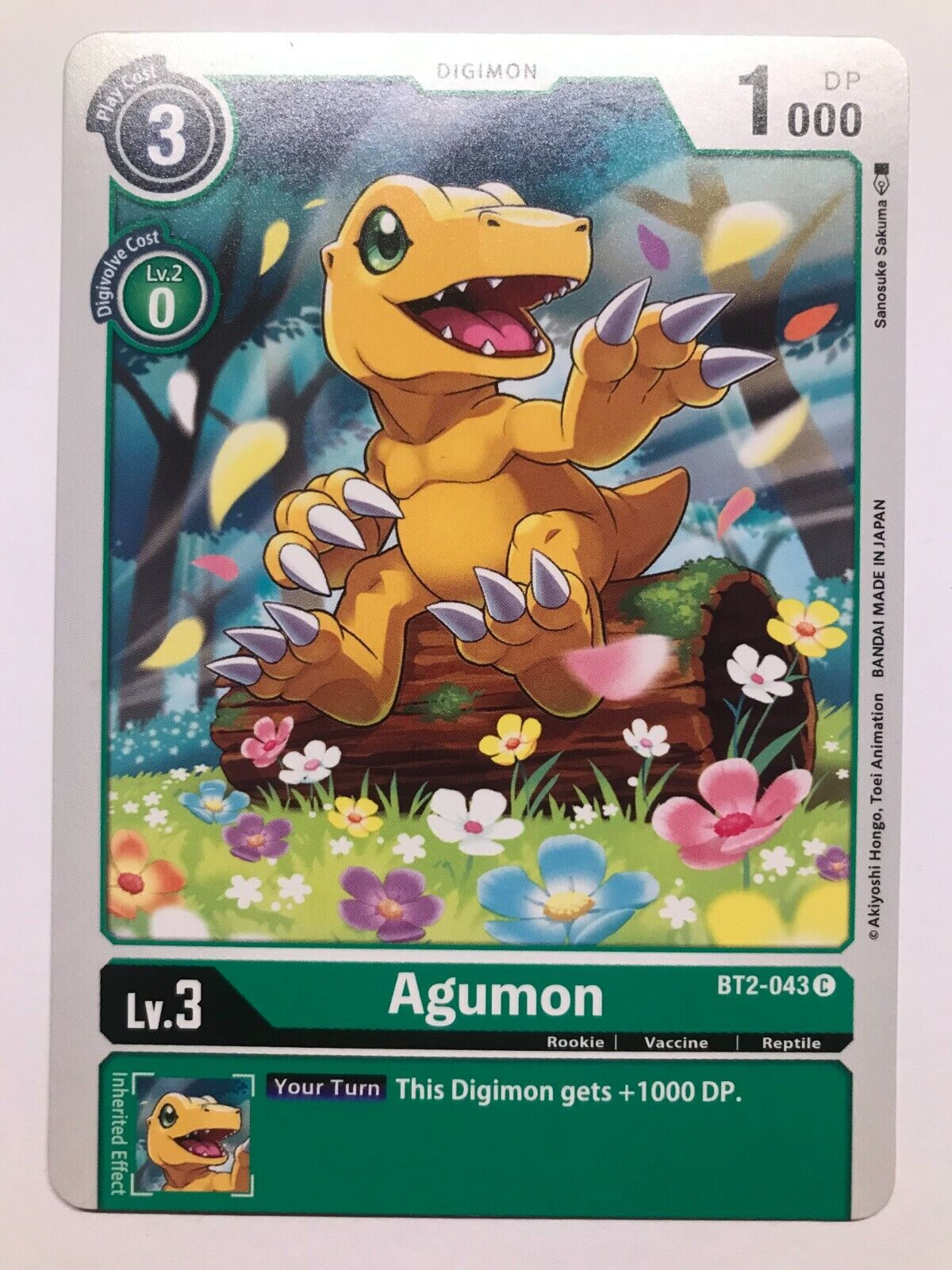 Digimon Card Game - BT2 - Choose Your Cards!