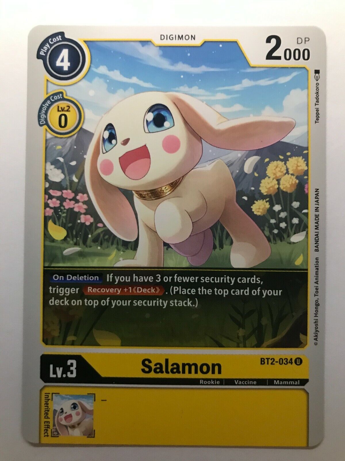 Digimon Card Game - BT2 - Choose Your Cards!