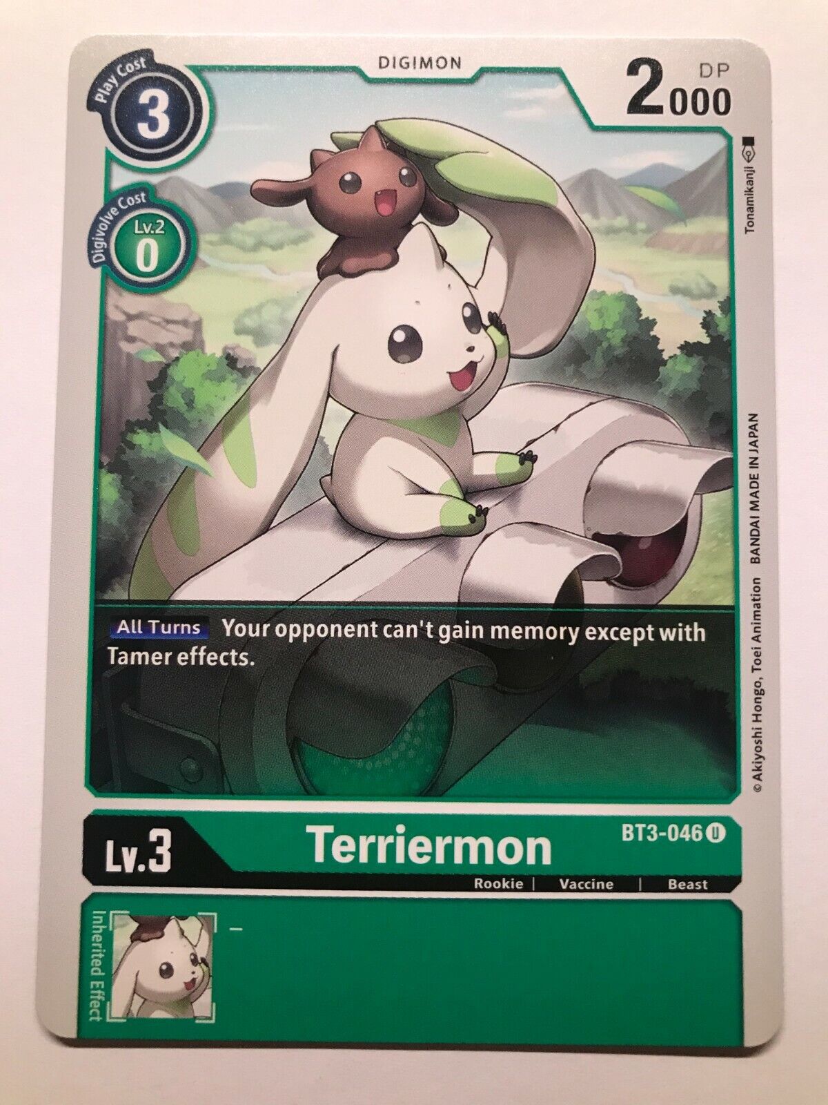 Digimon Card Game - BT3 - Choose Your Cards!