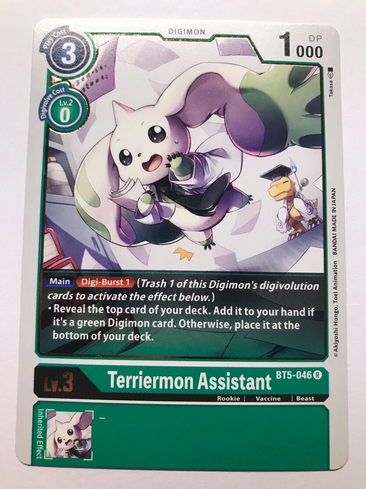 Digimon Card Game - BT5 - Choose Your Cards!