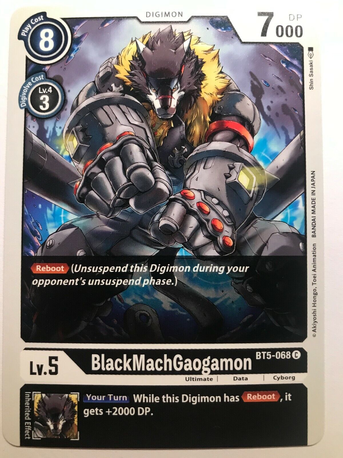 Digimon Card Game - BT5 - Choose Your Cards!