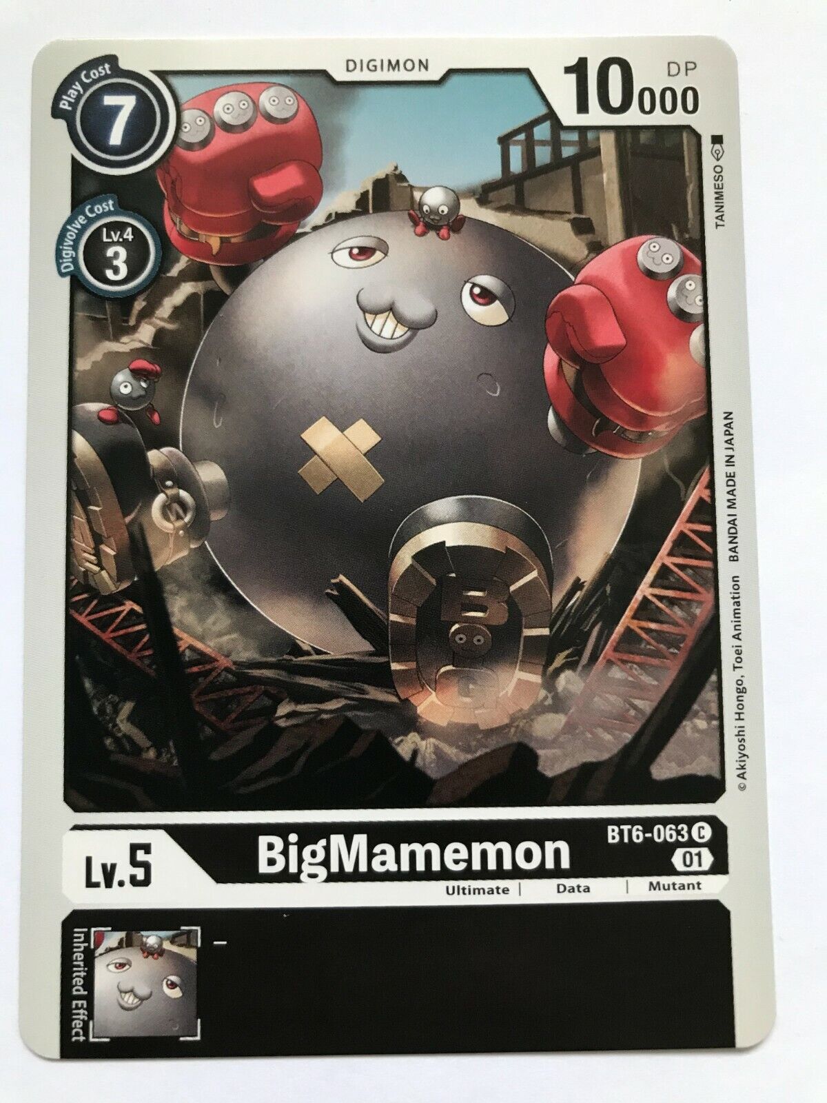 Digimon Card Game - BT6 - Choose Your Cards!