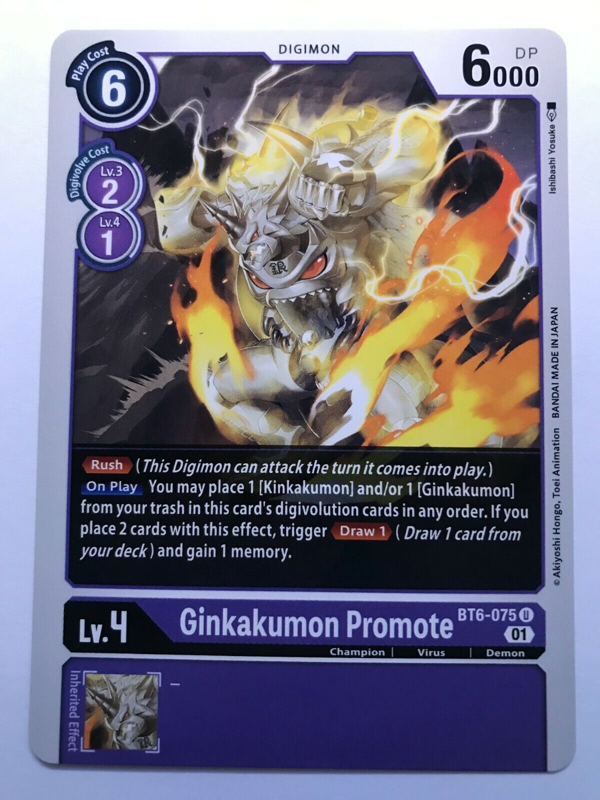 Digimon Card Game - BT6 - Choose Your Cards!
