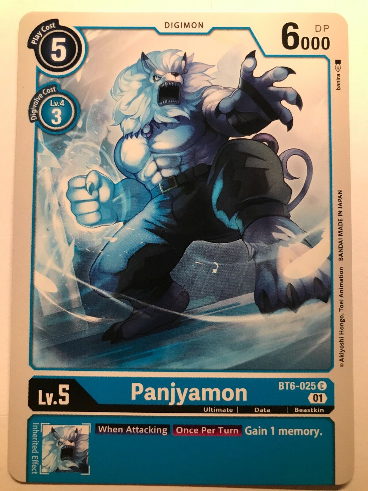 Digimon Card Game - BT6 - Choose Your Cards!