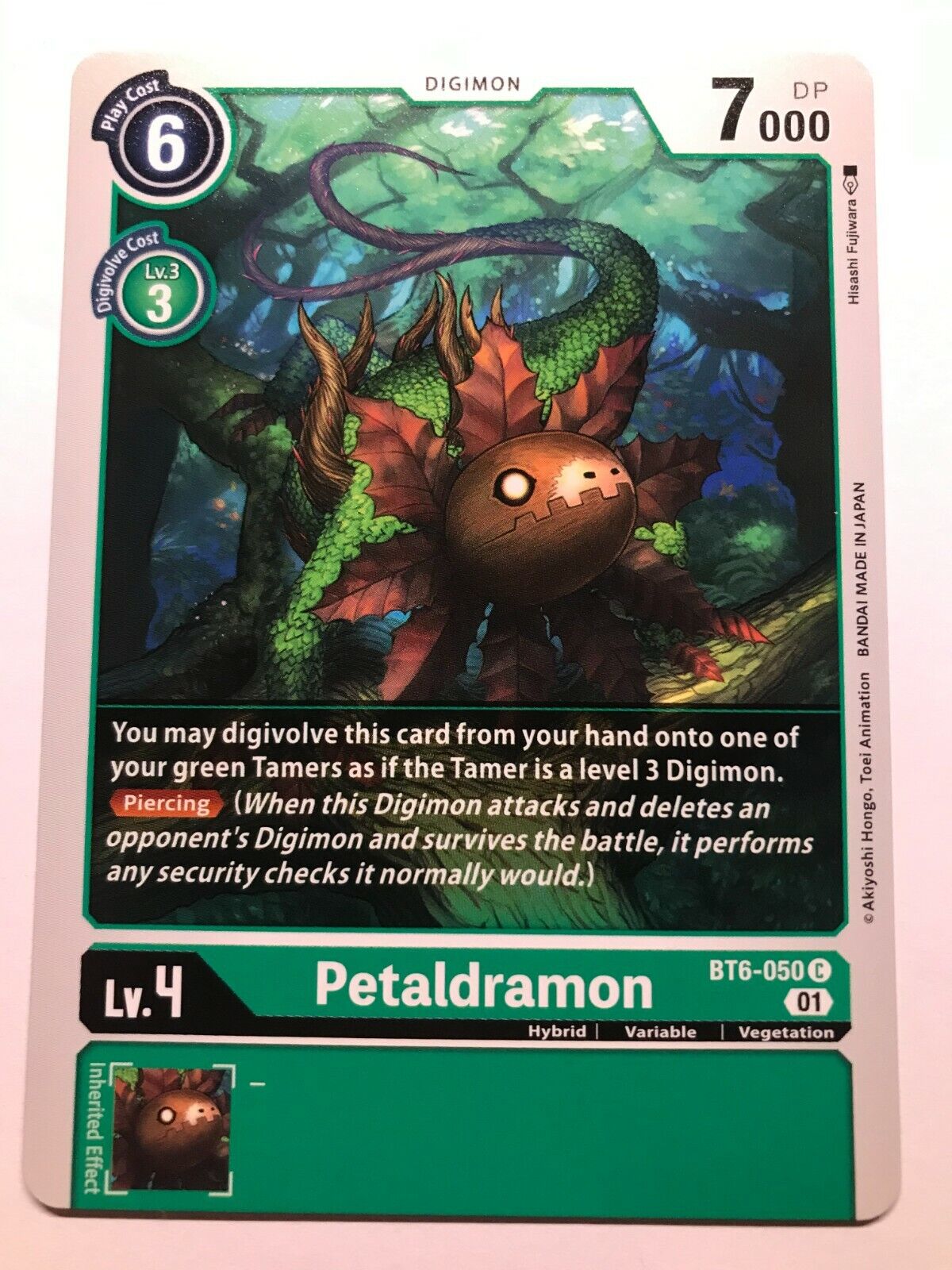 Digimon Card Game - BT6 - Choose Your Cards!