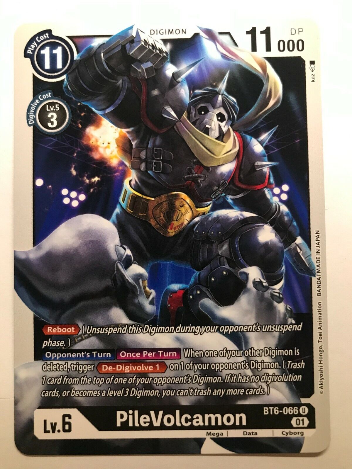 Digimon Card Game - BT6 - Choose Your Cards!