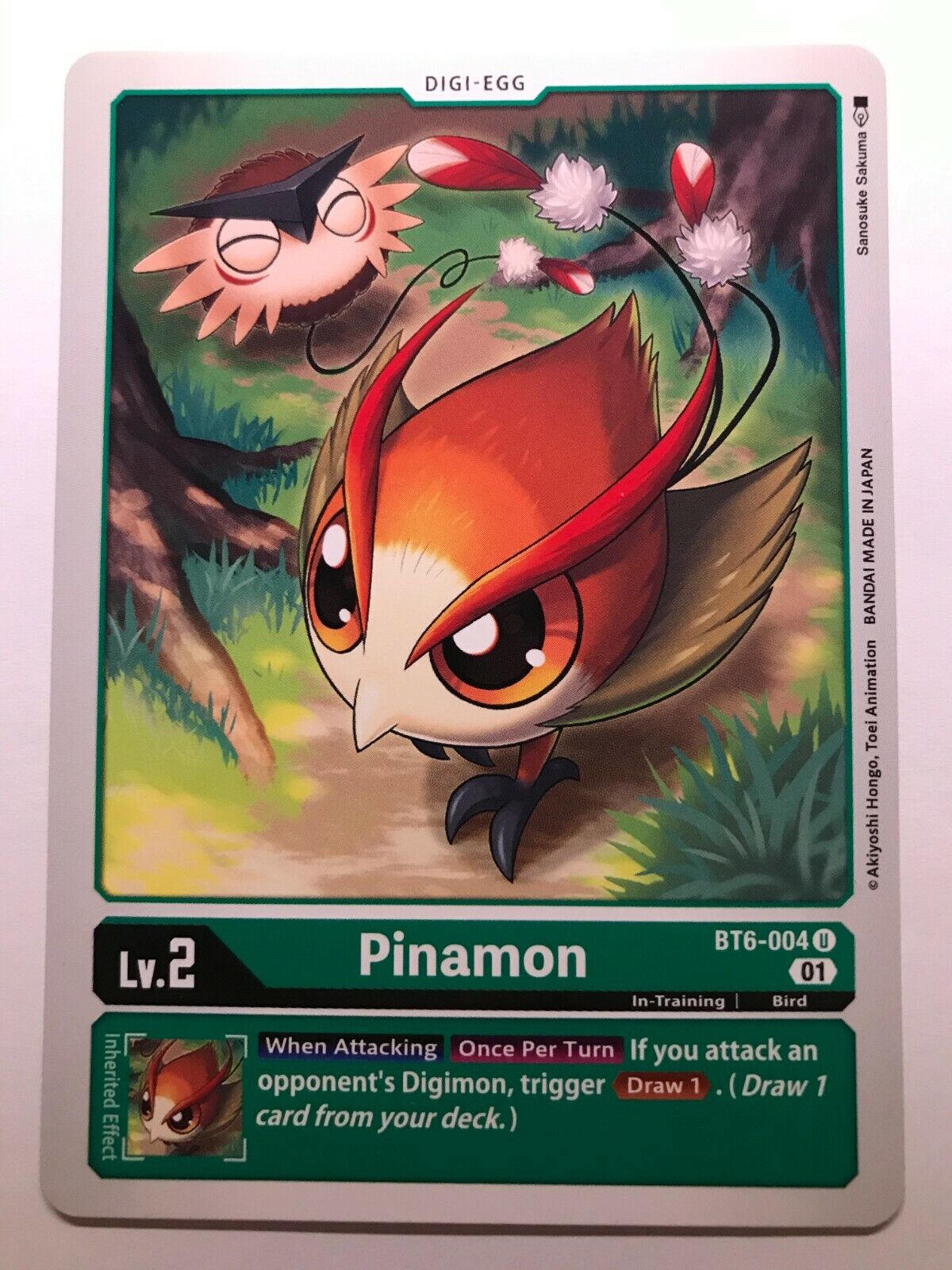 Digimon Card Game - BT6 - Choose Your Cards!