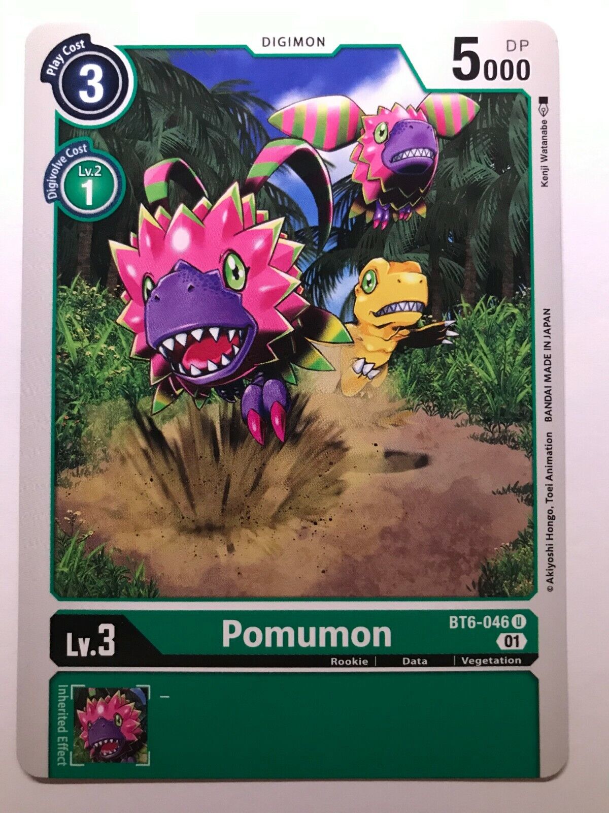 Digimon Card Game - BT6 - Choose Your Cards!