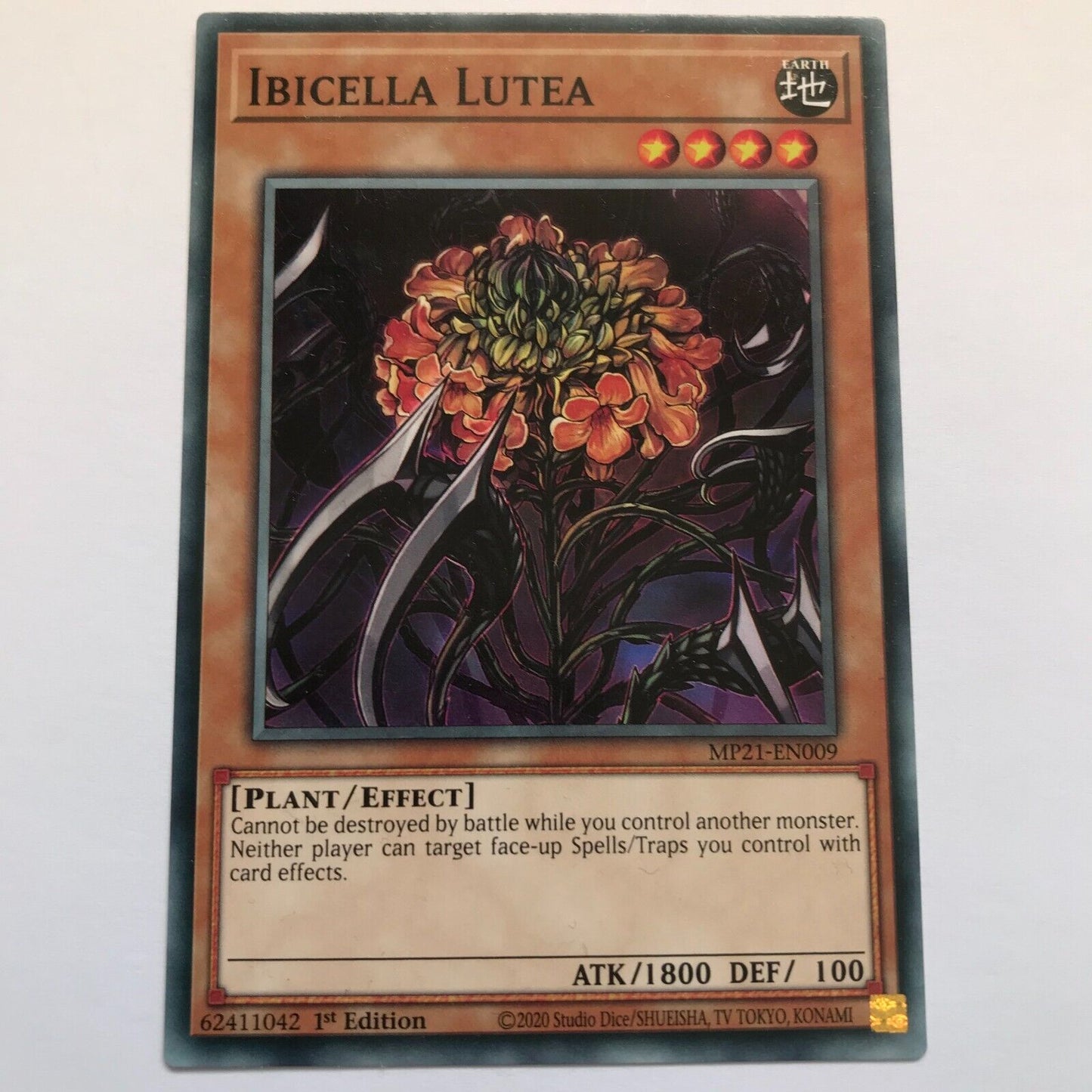 Ibicella Lutea - MP21-EN009 - Common - 1st Edition - YuGiOh