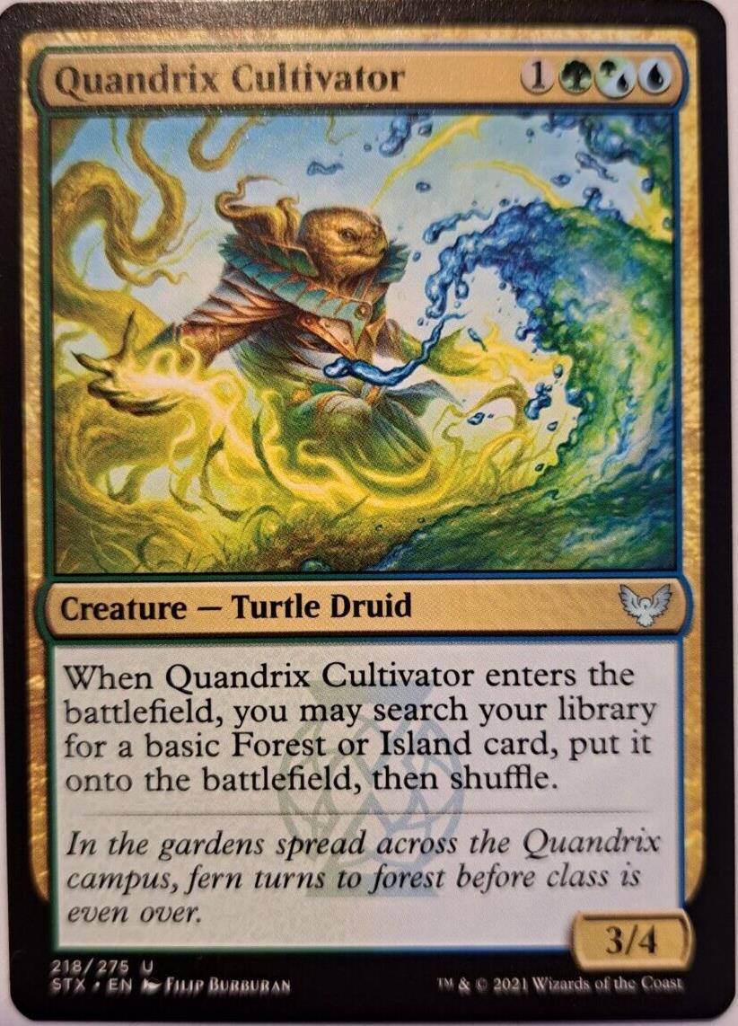 Quandrix Cultivator - Strixhaven: School Of Mages - MTG