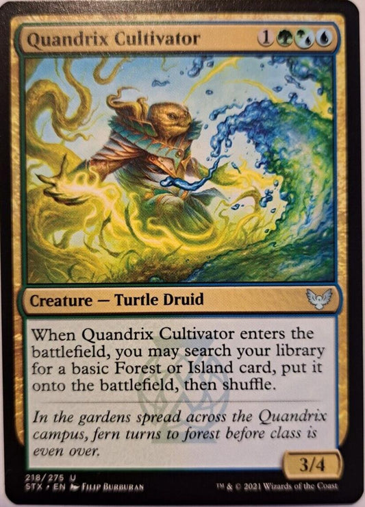 Quandrix Cultivator - Strixhaven: School Of Mages - MTG