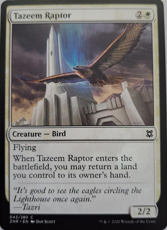 Tazeem Raptor - Zendikar Rising - MTG