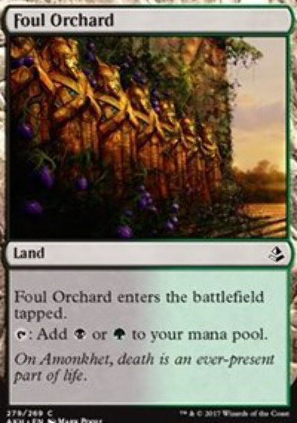 Foul Orchard (Amonkhet) - Planeswalker Deck Exclusive - MTG