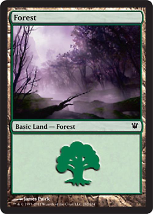 Forest (262) Innistrad - MTG