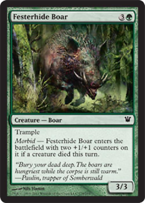 Festerhide Boar Innistrad - MTG