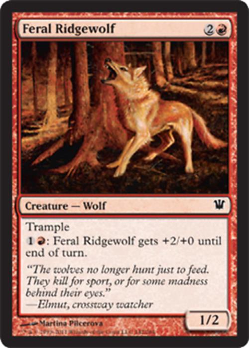 Feral Ridgewolf Innistrad - MTG