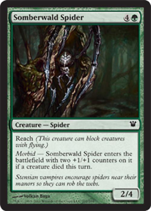 Somberwald Spider Innistrad - MTG