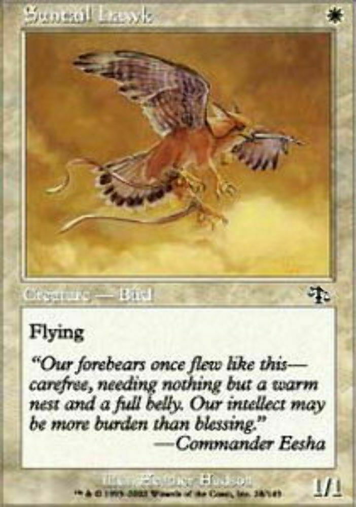 Suntail Hawk Judgment - Magic The Gathering - MTG