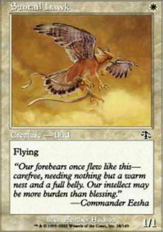 Suntail Hawk Judgment - Magic The Gathering - MTG