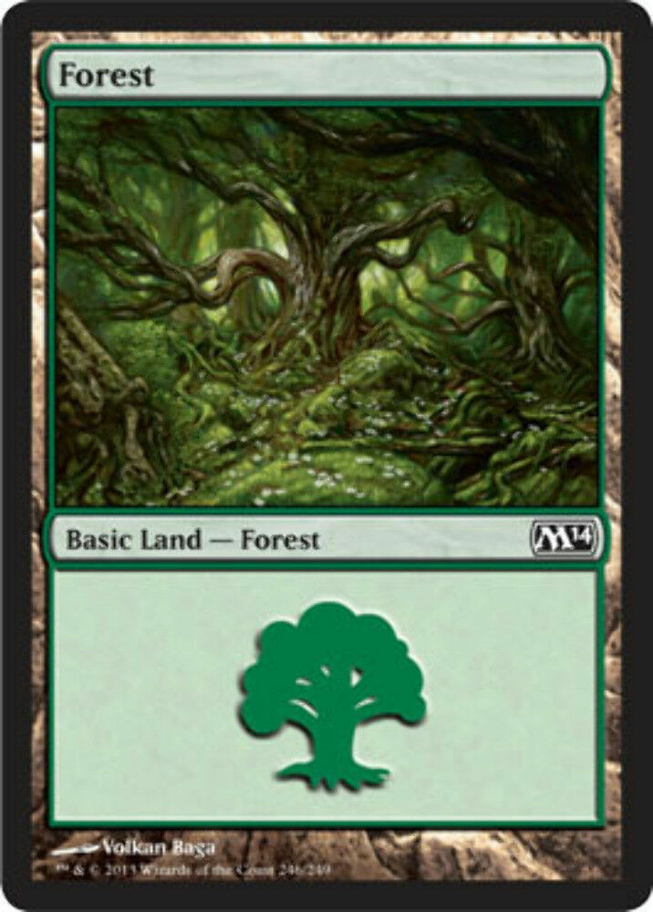 Forest (246) Magic 2014 - MTG