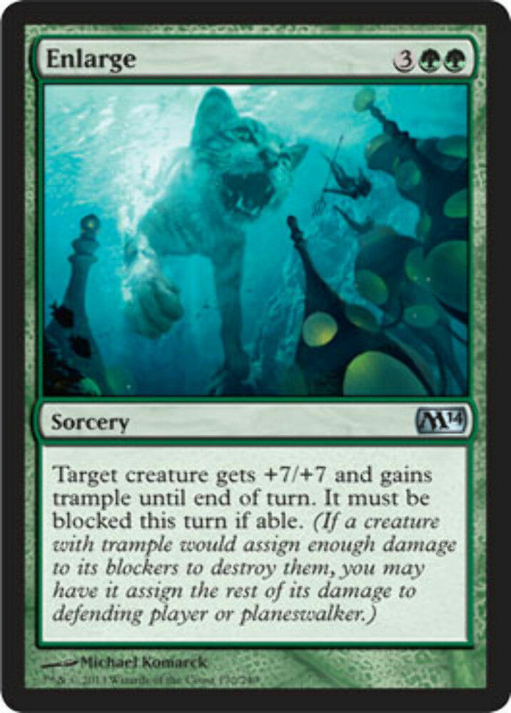 Enlarge Magic 2014 - MTG