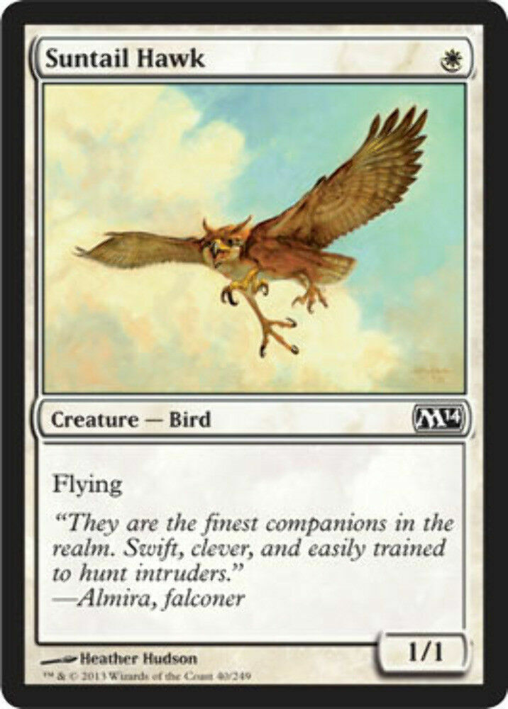 Suntail Hawk Magic 2014 - MTG