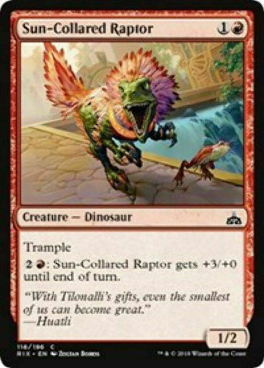Sun-Collared Raptor Rivals of Ixalan - MTG