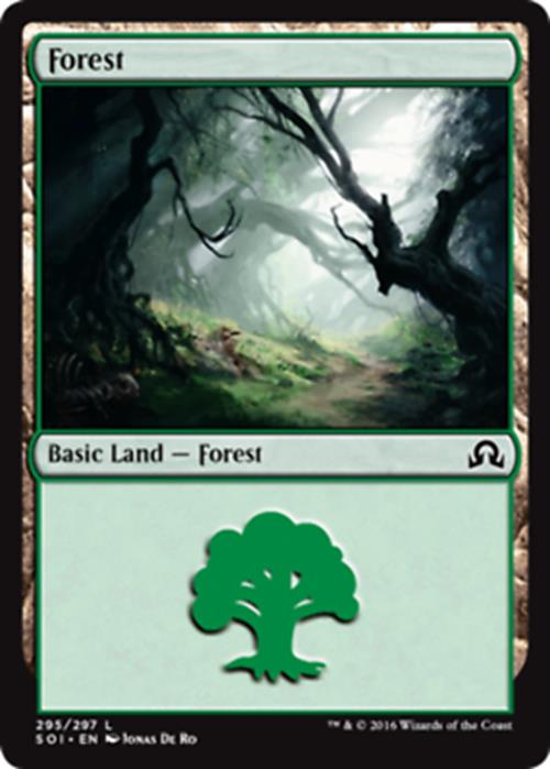 Forest (295) - Foil Shadows Over Innistrad - MTG