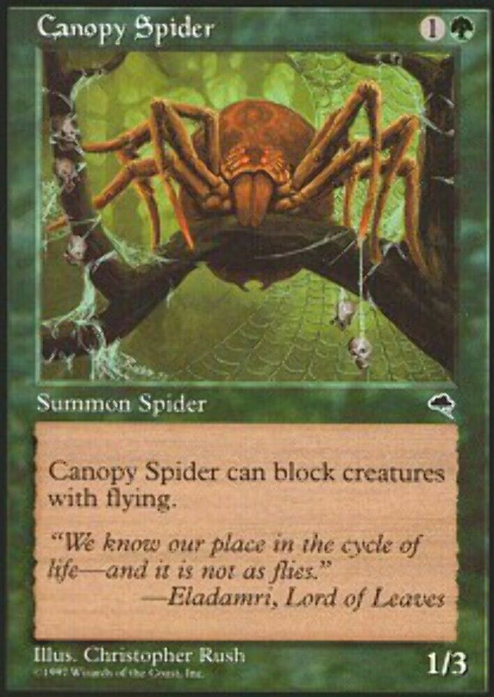 Canopy Spider Tempest - MTG