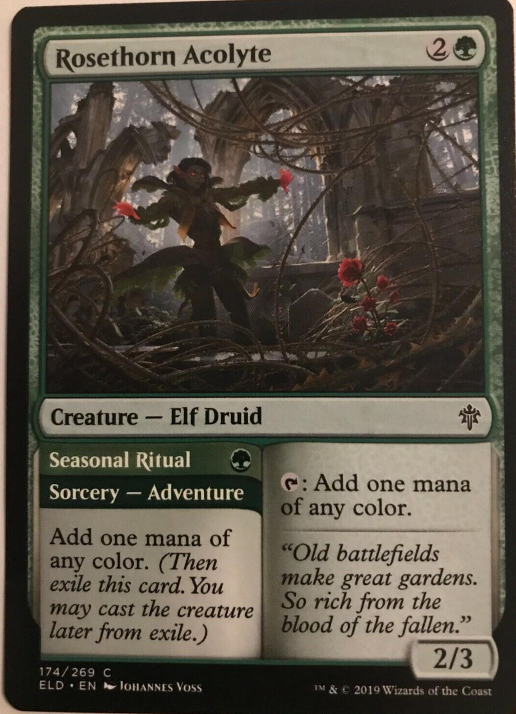 Rosethorn Acolyte - Throne Of Eldraine - MTG