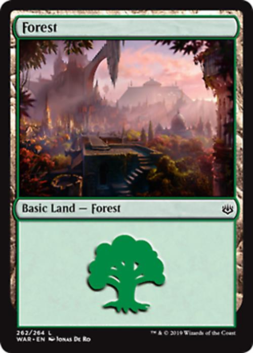 Forest (262) - War of the Spark - MTG
