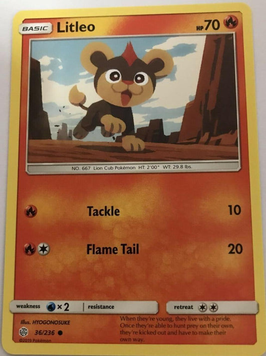 Litleo 36/236 Common - Pokemon Sun And Moon Cosmic Eclipse