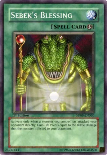 Sebek's Blessing - SD09-EN020 - Common - 1st Edition - YuGiOh LP