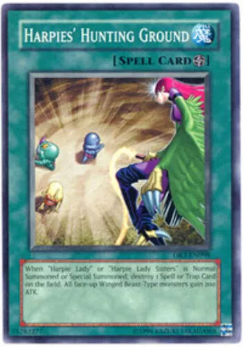 Harpies' Hunting Ground - DR3-EN098 - Common - Unlimited Edition - YuGiOh
