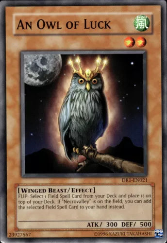 An Owl of Luck - DR1-EN021 - Common - Unlimited Edition - YuGiOh