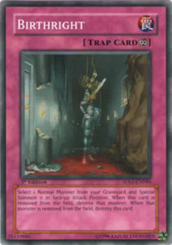 Birthright - 5DS1-EN040 - Common - 1st Edition - YuGiOh